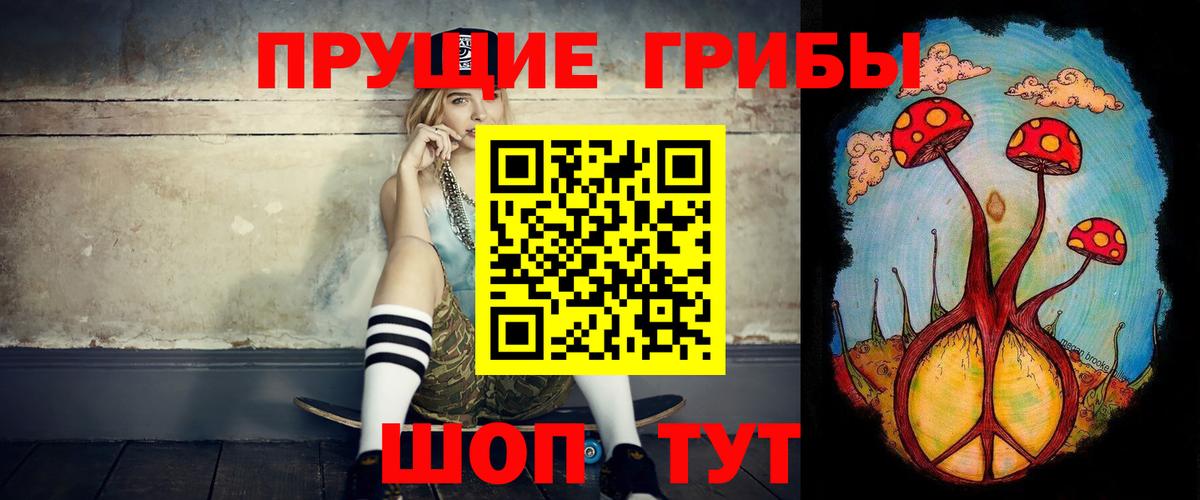 Менделеевск  Псилоцибиновые грибы прущие грибы  Вход с VPN 